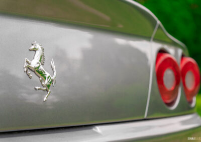 Close-up of the Prancing Horse symbol on the back of a grey 1996 Ferrari 550 Maranello