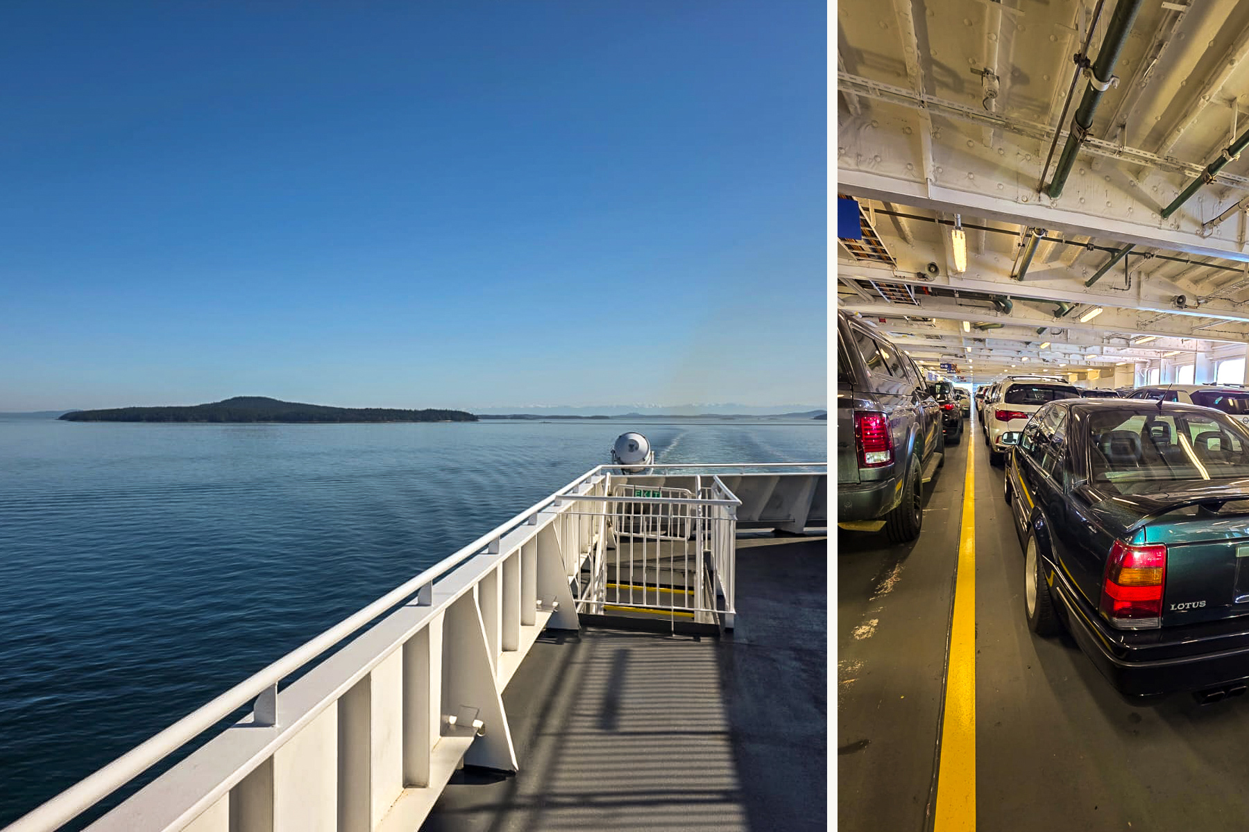 1990 Lotus Omega / Carlton