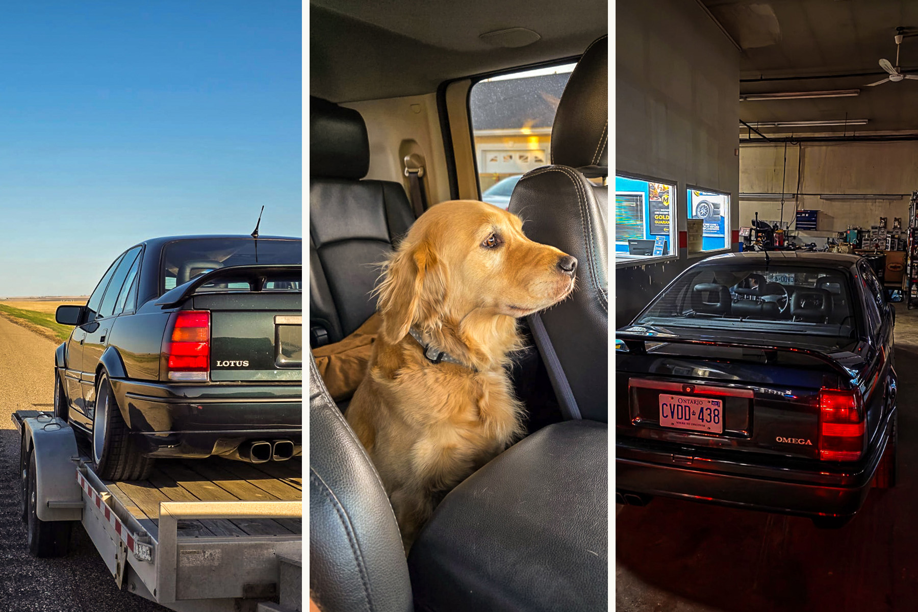 1990 Lotus Carlton / Omega