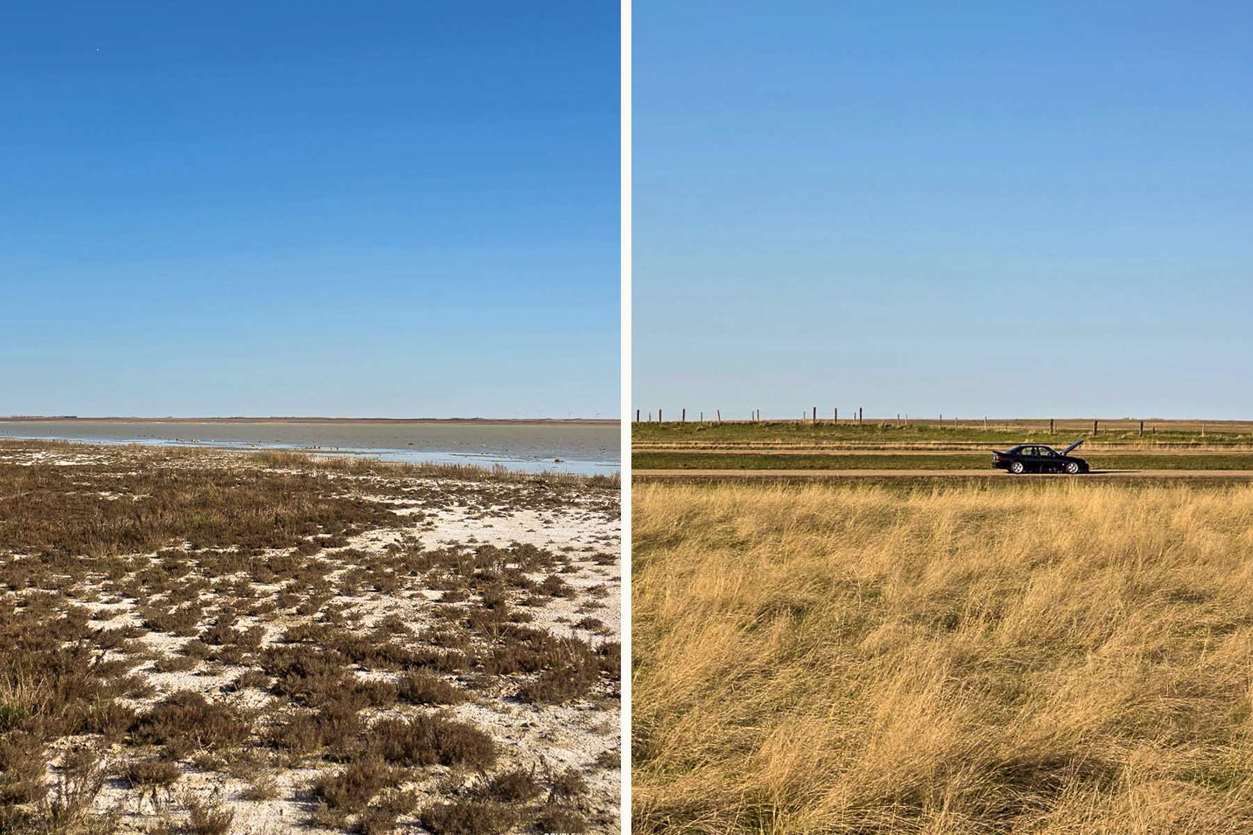1990 Lotus Carlton / Omega