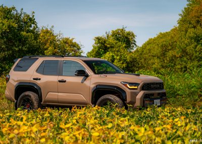 2025 Toyota 4Runner TRD Pro