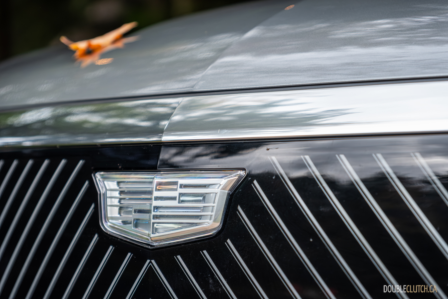 2025 Cadillac Vistiq