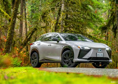 2026 Lexus RZ550e F Sport in Wind grey