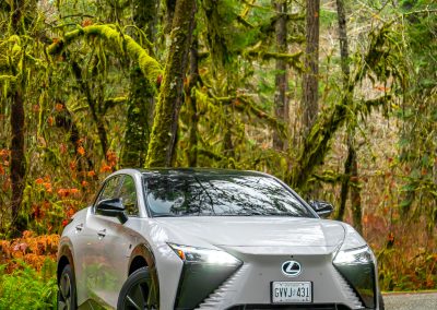 2026 Lexus RZ550e F Sport in Wind grey