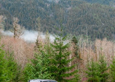 2026 Lexus RZ550e F Sport in Wind grey