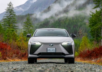 2026 Lexus RZ550e F Sport in Wind grey