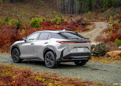 2026 Lexus RZ550e F Sport in Wind grey